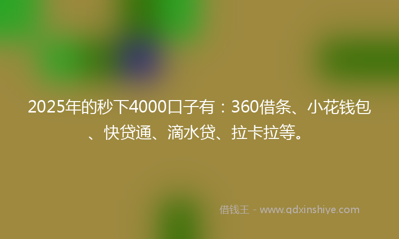 2025年的秒下4000口子有：360借条、小花钱包、快贷通、滴水贷、拉卡拉等。