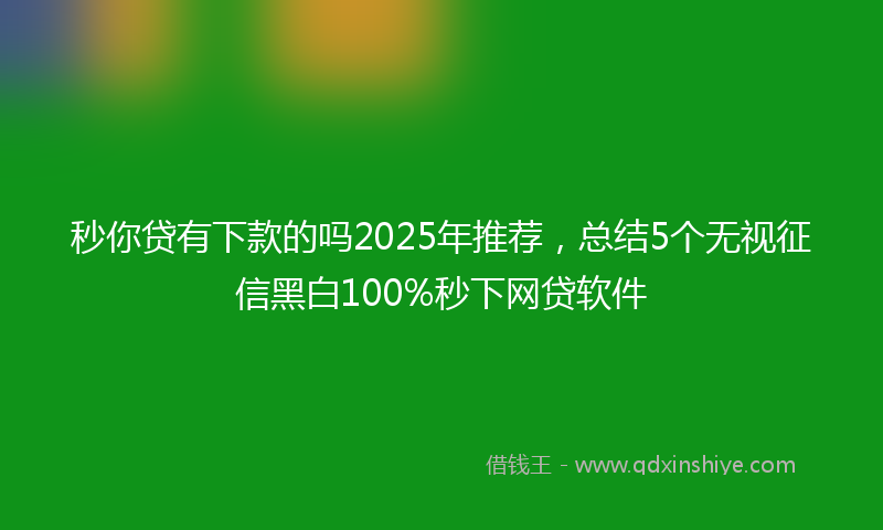 秒你贷有下款的吗2025年推荐，总结5个无视征信黑白100%秒下网贷软件