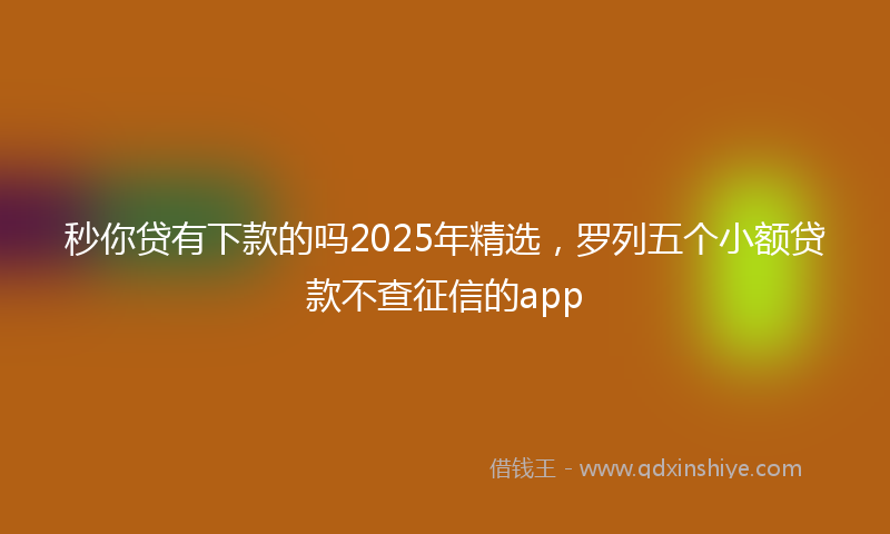 秒你贷有下款的吗2025年精选，罗列五个小额贷款不查征信的app