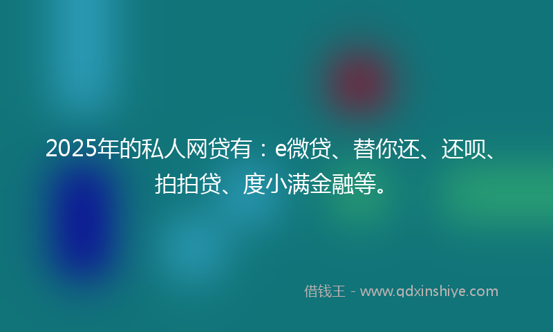 2025年的私人网贷有：e微贷、替你还、还呗、拍拍贷、度小满金融等。