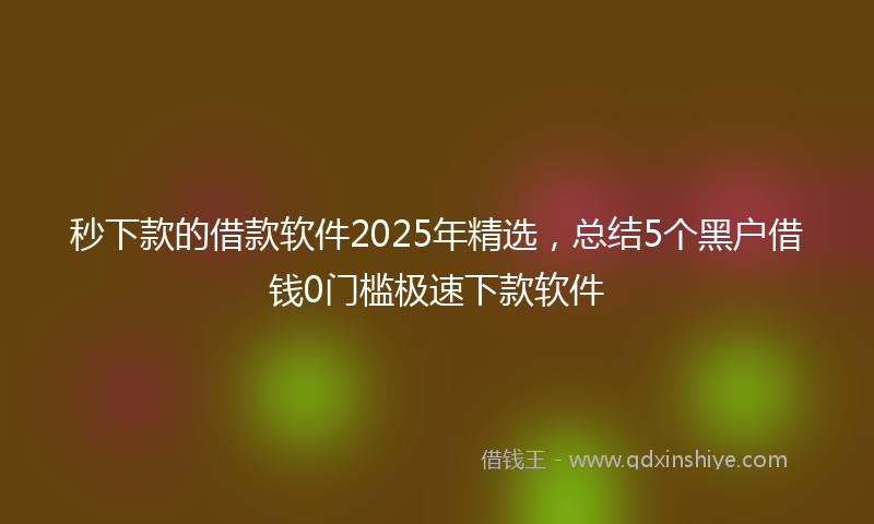 秒下款的借款软件2025年精选，总结5个黑户借钱0门槛极速下款软件