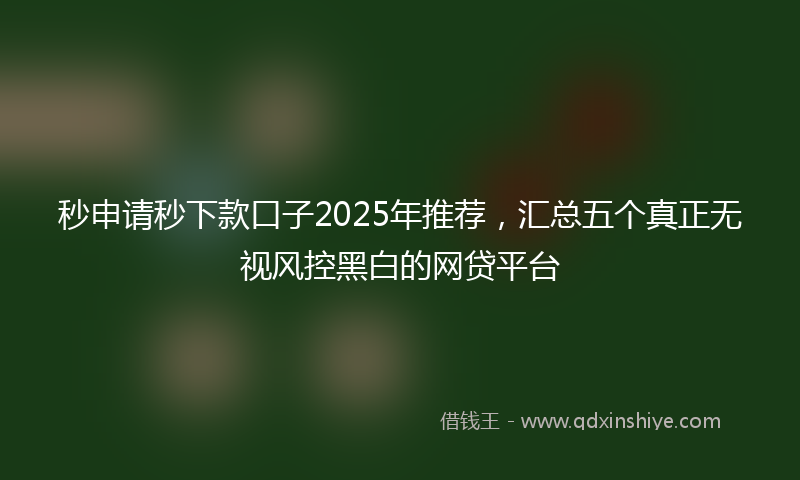 秒申请秒下款口子2025年推荐，汇总五个真正无视风控黑白的网贷平台