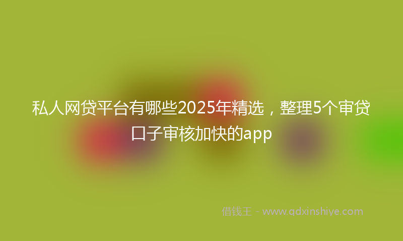 私人网贷平台有哪些2025年精选，整理5个审贷口子审核加快的app