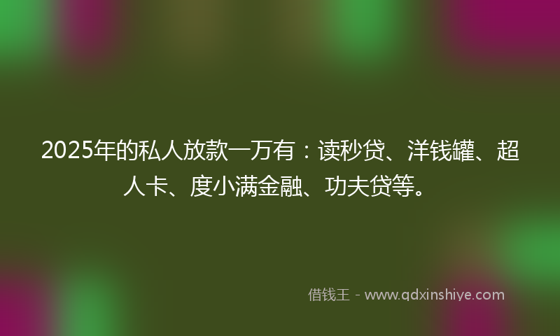 2025年的私人放款一万有：读秒贷、洋钱罐、超人卡、度小满金融、功夫贷等。