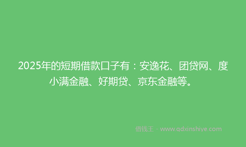 2025年的短期借款口子有：安逸花、团贷网、度小满金融、好期贷、京东金融等。