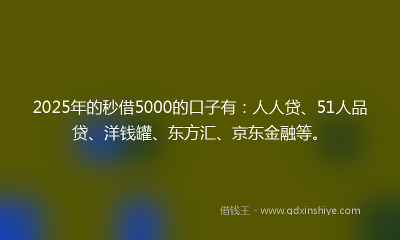 2025年的秒借5000的口子有：人人贷、51人品贷、洋钱罐、东方汇、京东金融等。