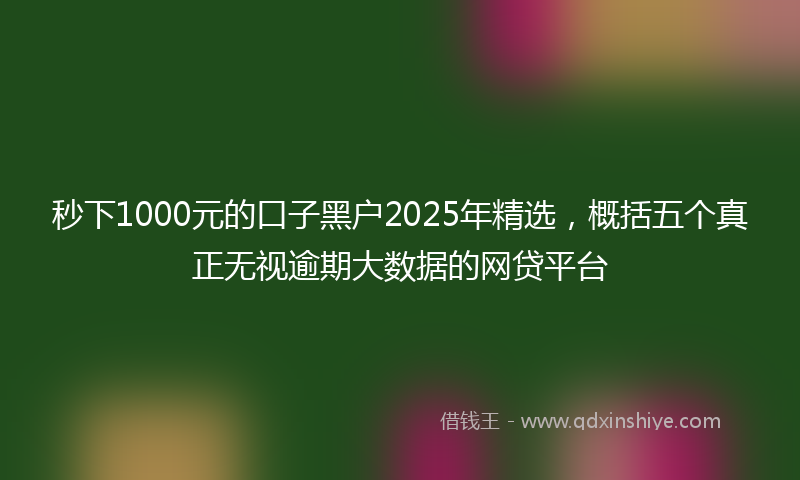 秒下1000元的口子黑户2025年精选，概括五个真正无视逾期大数据的网贷平台