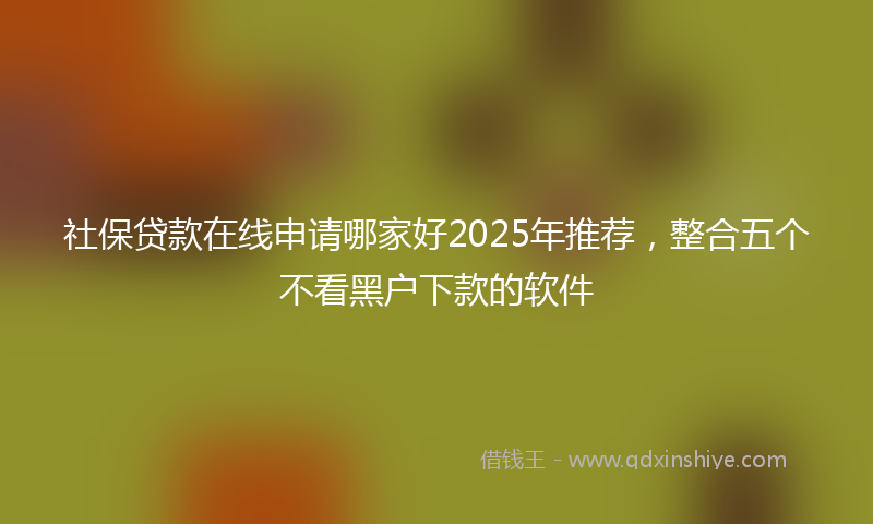 社保贷款在线申请哪家好2025年推荐，整合五个不看黑户下款的软件