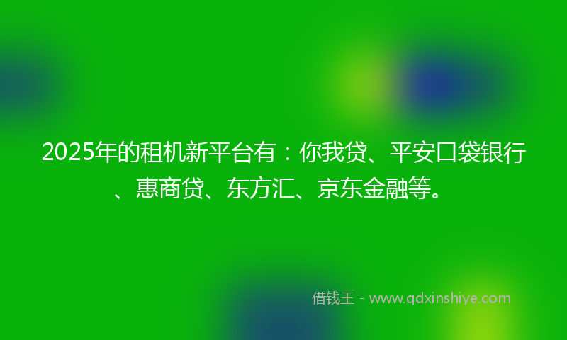 2025年的租机新平台有：你我贷、平安口袋银行、惠商贷、东方汇、京东金融等。