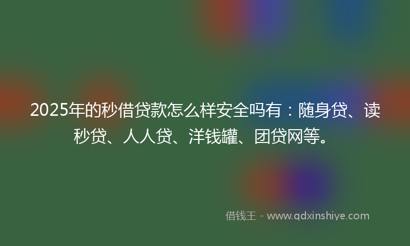 2025年的秒借贷款怎么样安全吗有：随身贷、读秒贷、人人贷、洋钱罐、团贷网等。