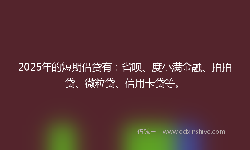 2025年的短期借贷有：省呗、度小满金融、拍拍贷、微粒贷、信用卡贷等。