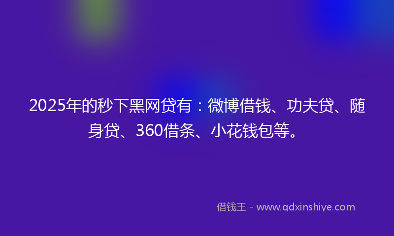 2025年的秒下黑网贷有：微博借钱、功夫贷、随身贷、360借条、小花钱包等。