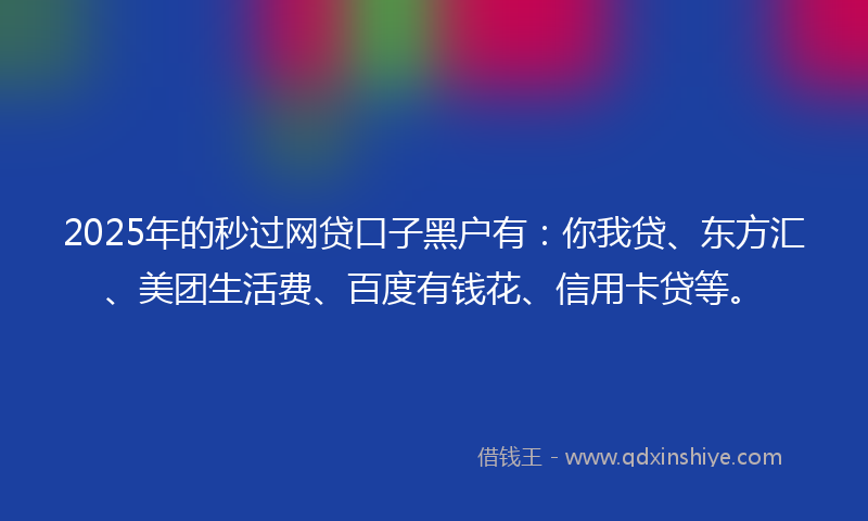 2025年的秒过网贷口子黑户有：你我贷、东方汇、美团生活费、百度有钱花、信用卡贷等。