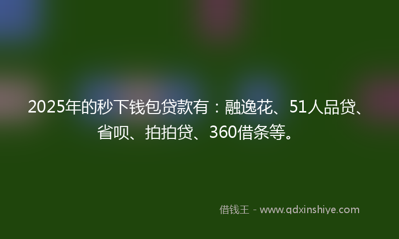 2025年的秒下钱包贷款有：融逸花、51人品贷、省呗、拍拍贷、360借条等。