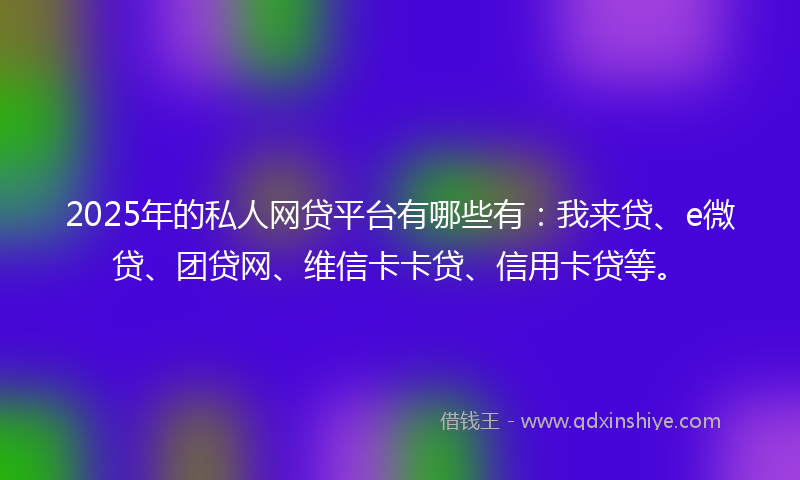 2025年的私人网贷平台有哪些有：我来贷、e微贷、团贷网、维信卡卡贷、信用卡贷等。