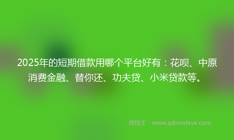 2025年的短期借款用哪个平台好有:花呗、中原消费金融、替你还、功夫贷、小米贷款等。