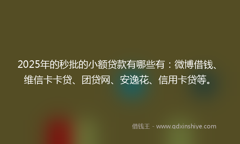 2025年的秒批的小额贷款有哪些有：微博借钱、维信卡卡贷、团贷网、安逸花、信用卡贷等。