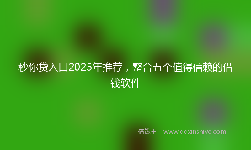 秒你贷入口2025年推荐，整合五个值得信赖的借钱软件