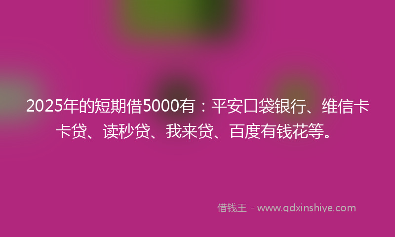 2025年的短期借5000有：平安口袋银行、维信卡卡贷、读秒贷、我来贷、百度有钱花等。