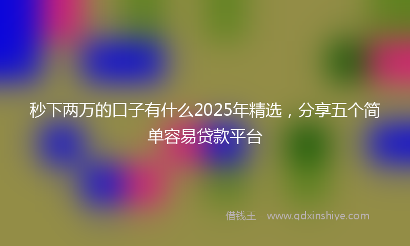 秒下两万的口子有什么2025年精选，分享五个简单容易贷款平台