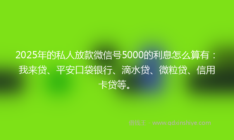 2025年的私人放款微信号5000的利息怎么算有：我来贷、平安口袋银行、滴水贷、微粒贷、信用卡贷等。