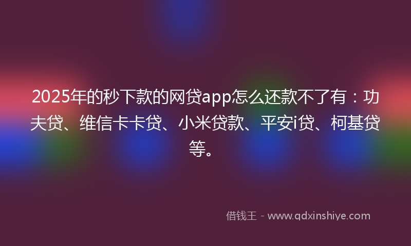 2025年的秒下款的网贷app怎么还款不了有：功夫贷、维信卡卡贷、小米贷款、平安i贷、柯基贷等。