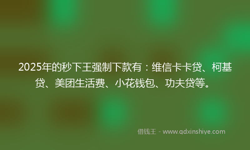 2025年的秒下王强制下款有：维信卡卡贷、柯基贷、美团生活费、小花钱包、功夫贷等。