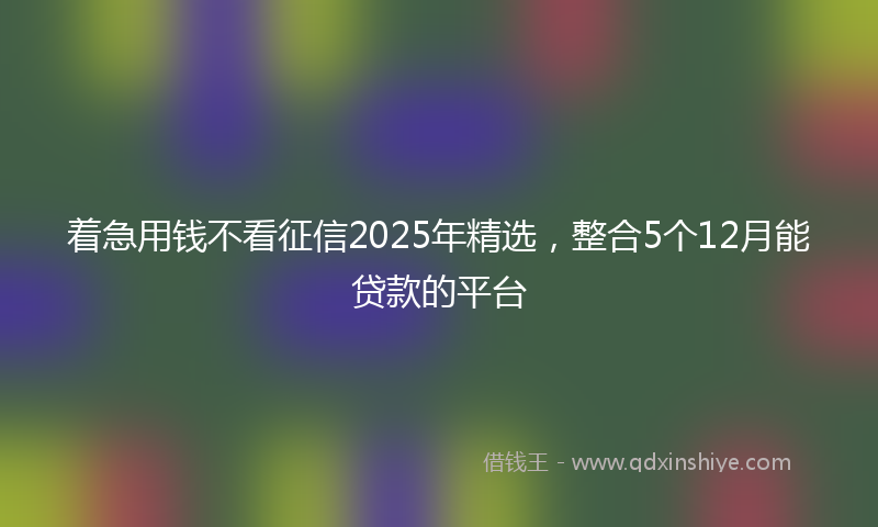 着急用钱不看征信2025年精选,整合5个12月能贷款的平台