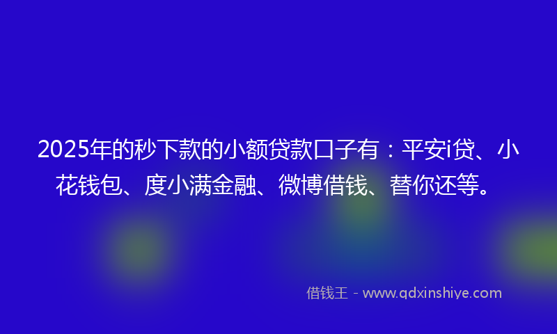 2025年的秒下款的小额贷款口子有：平安i贷、小花钱包、度小满金融、微博借钱、替你还等。