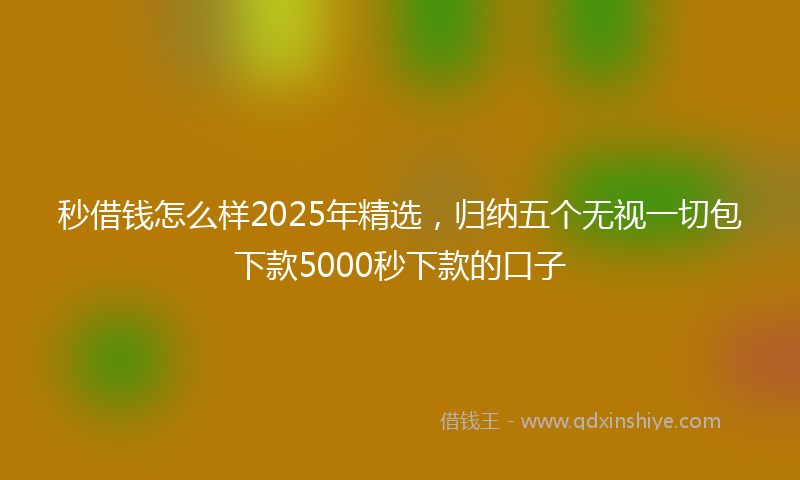 秒借钱怎么样2025年精选，归纳五个无视一切包下款5000秒下款的口子