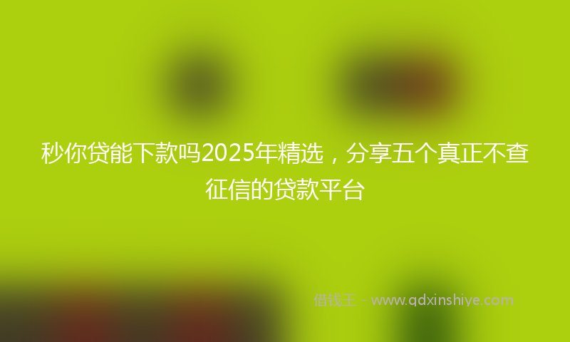 秒你贷能下款吗2025年精选，分享五个真正不查征信的贷款平台