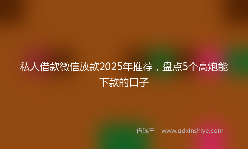 私人借款微信放款2025年推荐，盘点5个高炮能下款的口子