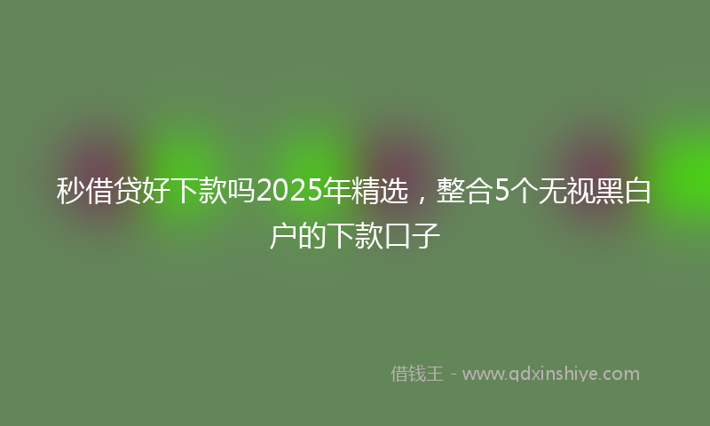 秒借贷好下款吗2025年精选，整合5个无视黑白户的下款口子
