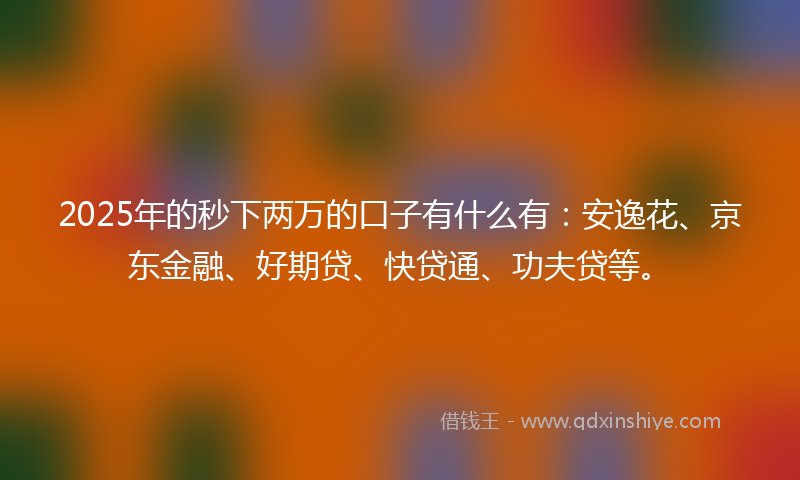 2025年的秒下两万的口子有什么有：安逸花、京东金融、好期贷、快贷通、功夫贷等。