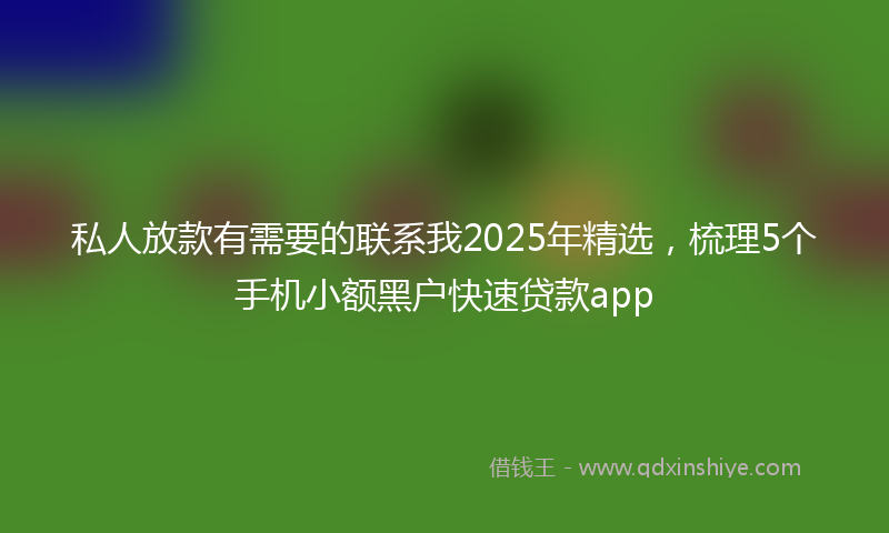 私人放款有需要的联系我2025年精选，梳理5个手机小额黑户快速贷款app