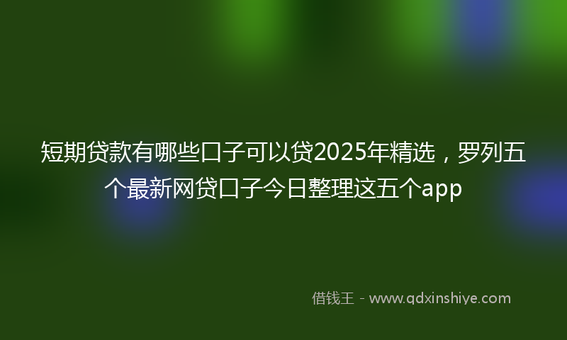 短期贷款有哪些口子可以贷2025年精选，罗列五个最新网贷口子今日整理这五个app