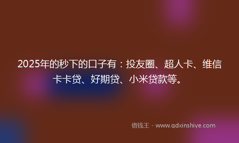 2025年的秒下的口子有：投友圈、超人卡、维信卡卡贷、好期贷、小米贷款等。