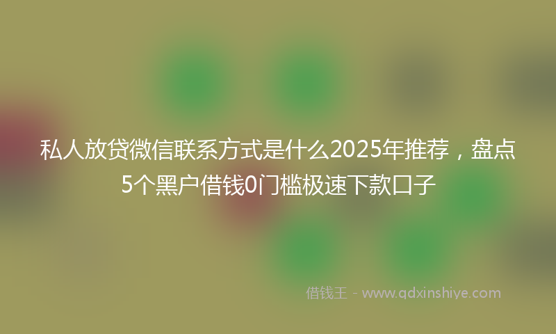 私人放贷微信联系方式是什么2025年推荐，盘点5个黑户借钱0门槛极速下款口子