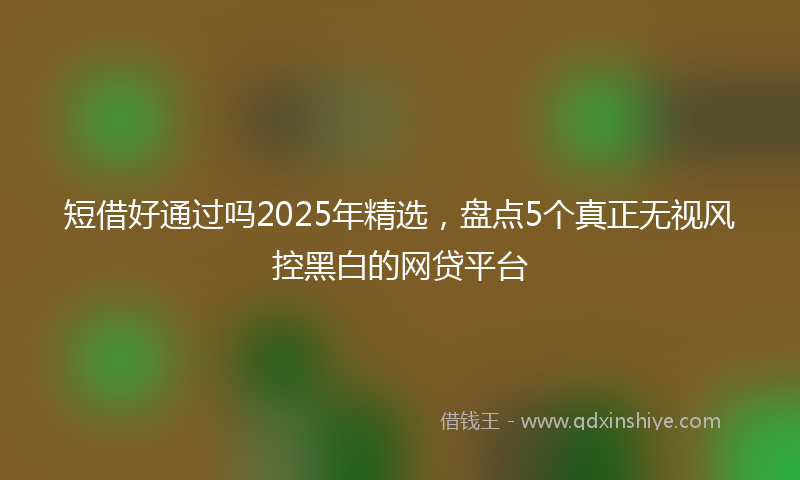 短借好通过吗2025年精选，盘点5个真正无视风控黑白的网贷平台