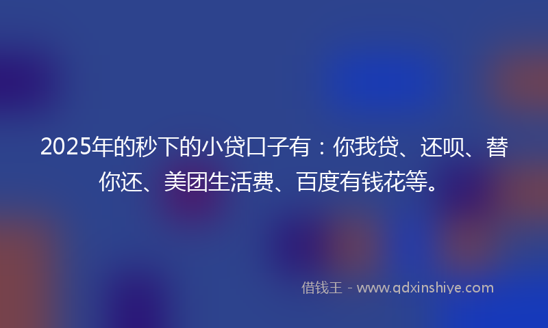 2025年的秒下的小贷口子有：你我贷、还呗、替你还、美团生活费、百度有钱花等。