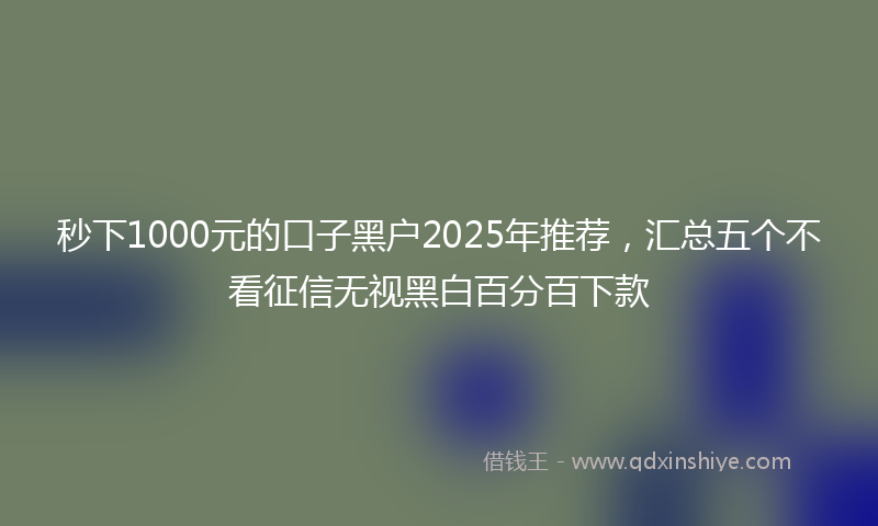 秒下1000元的口子黑户2025年推荐，汇总五个不看征信无视黑白百分百下款