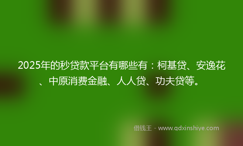 2025年的秒贷款平台有哪些有：柯基贷、安逸花、中原消费金融、人人贷、功夫贷等。