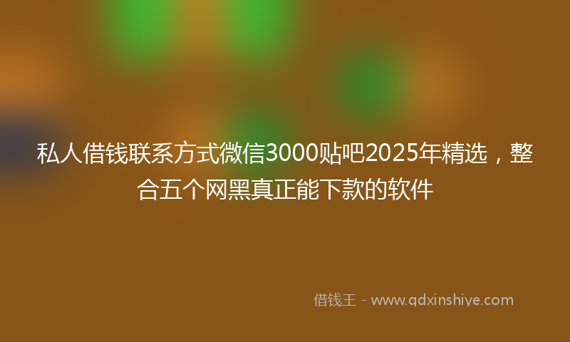 私人借钱联系方式微信3000贴吧2025年精选，整合五个网黑真正能下款的软件