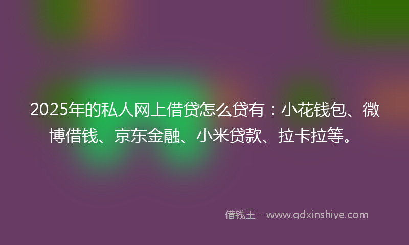 2025年的私人网上借贷怎么贷有：小花钱包、微博借钱、京东金融、小米贷款、拉卡拉等。