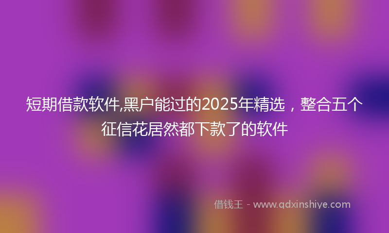 短期借款软件,黑户能过的2025年精选，整合五个征信花居然都下款了的软件