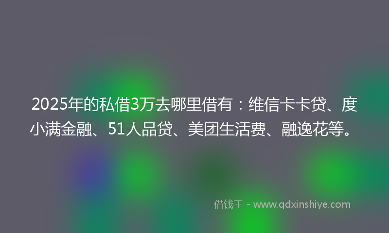 2025年的私借3万去哪里借有：维信卡卡贷、度小满金融、51人品贷、美团生活费、融逸花等。