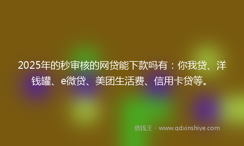 2025年的秒审核的网贷能下款吗有：你我贷、洋钱罐、e微贷、美团生活费、信用卡贷等。