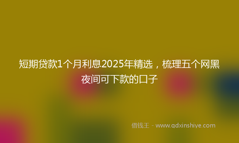 短期贷款1个月利息2025年精选，梳理五个网黑夜间可下款的口子