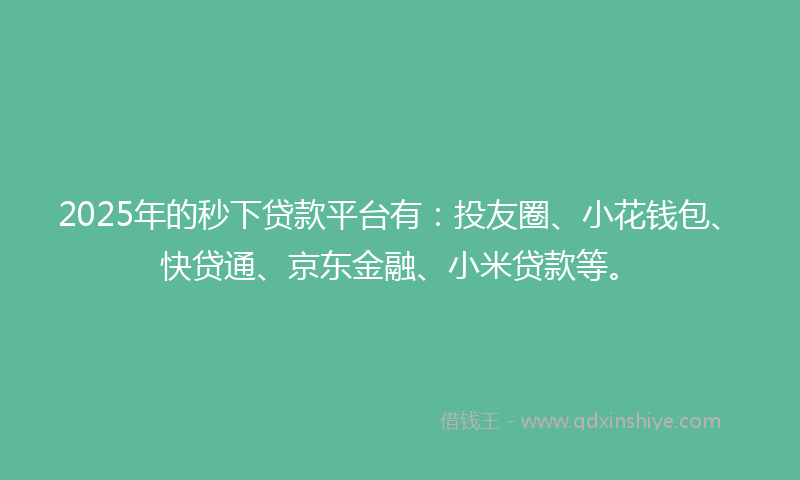 2025年的秒下贷款平台有：投友圈、小花钱包、快贷通、京东金融、小米贷款等。