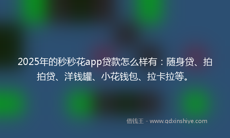 2025年的秒秒花app贷款怎么样有：随身贷、拍拍贷、洋钱罐、小花钱包、拉卡拉等。